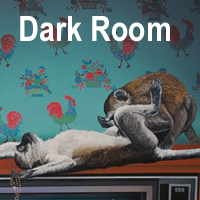 rioecultura : EXPO Dark Room [Ana Elisa Egreja] : Laura Marsiaj Arte Contempornea